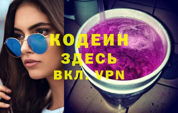 прущие грибы Саяногорск