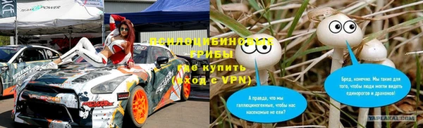 прущие грибы Саяногорск