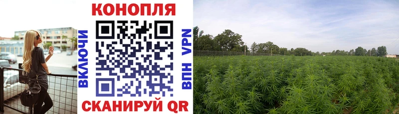 МАРИХУАНА индика  дарк нет телеграм  Карталы 